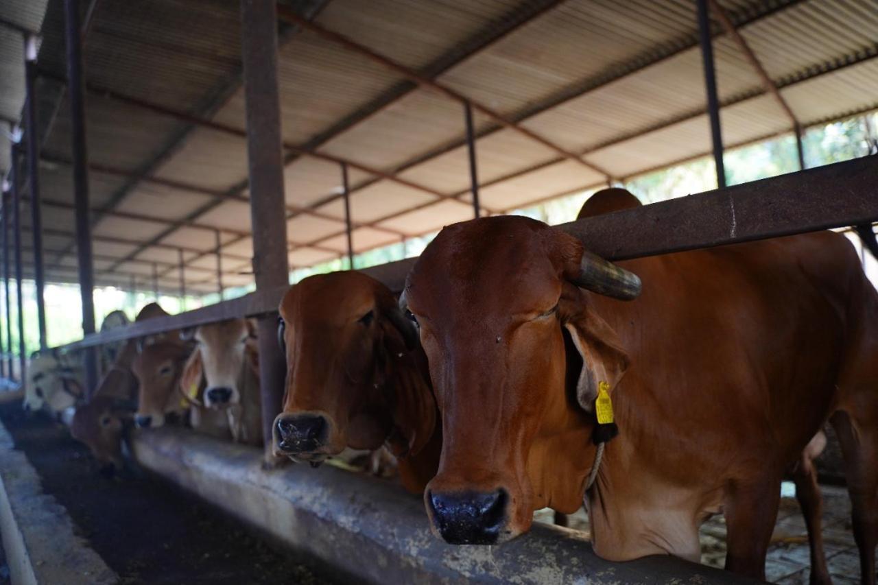 Vita Farms Titwala Kültér fotó